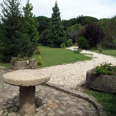 Quinta Do Sobreiro - Country House Hotel Facha Ruang foto
